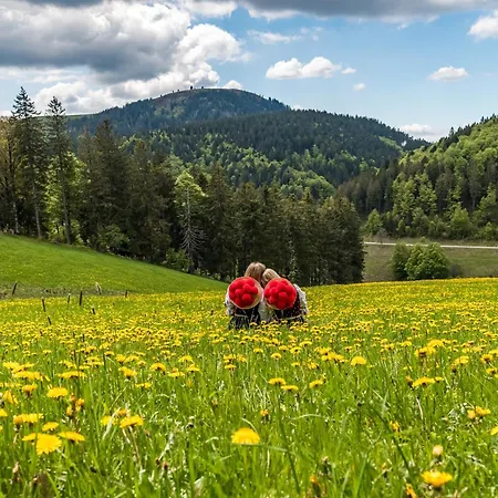 Sommerberg, Lenzkirch, 2 Schlafzimmer *